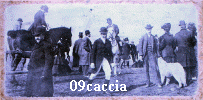 09caccia.jpg (187745 byte)